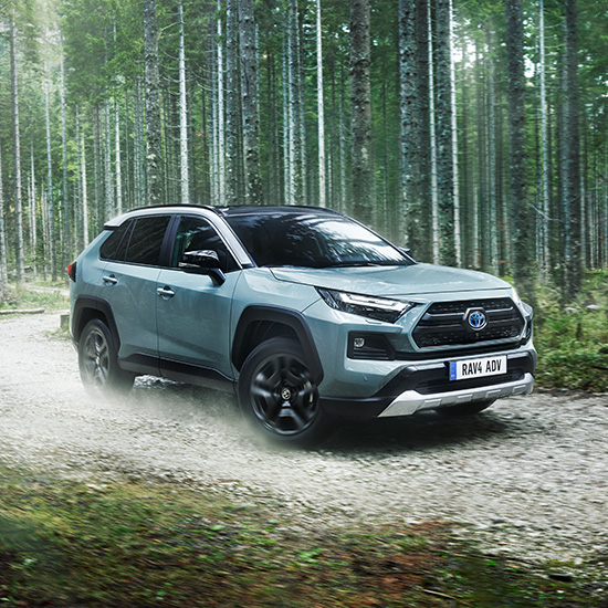 Toyota RAV4 jedzie po ulowej drodze przez brzozowy las